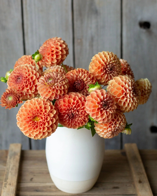 Bouquet of peach-colored flowers in a white vase on a wooden surface with a gray wooden wall background.