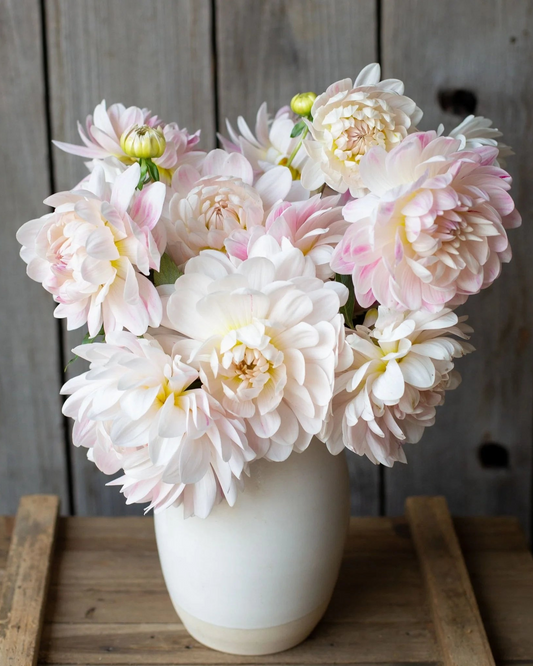 Bouquet of pink and white flowers in a white vase on a wooden surface with a wooden background.
